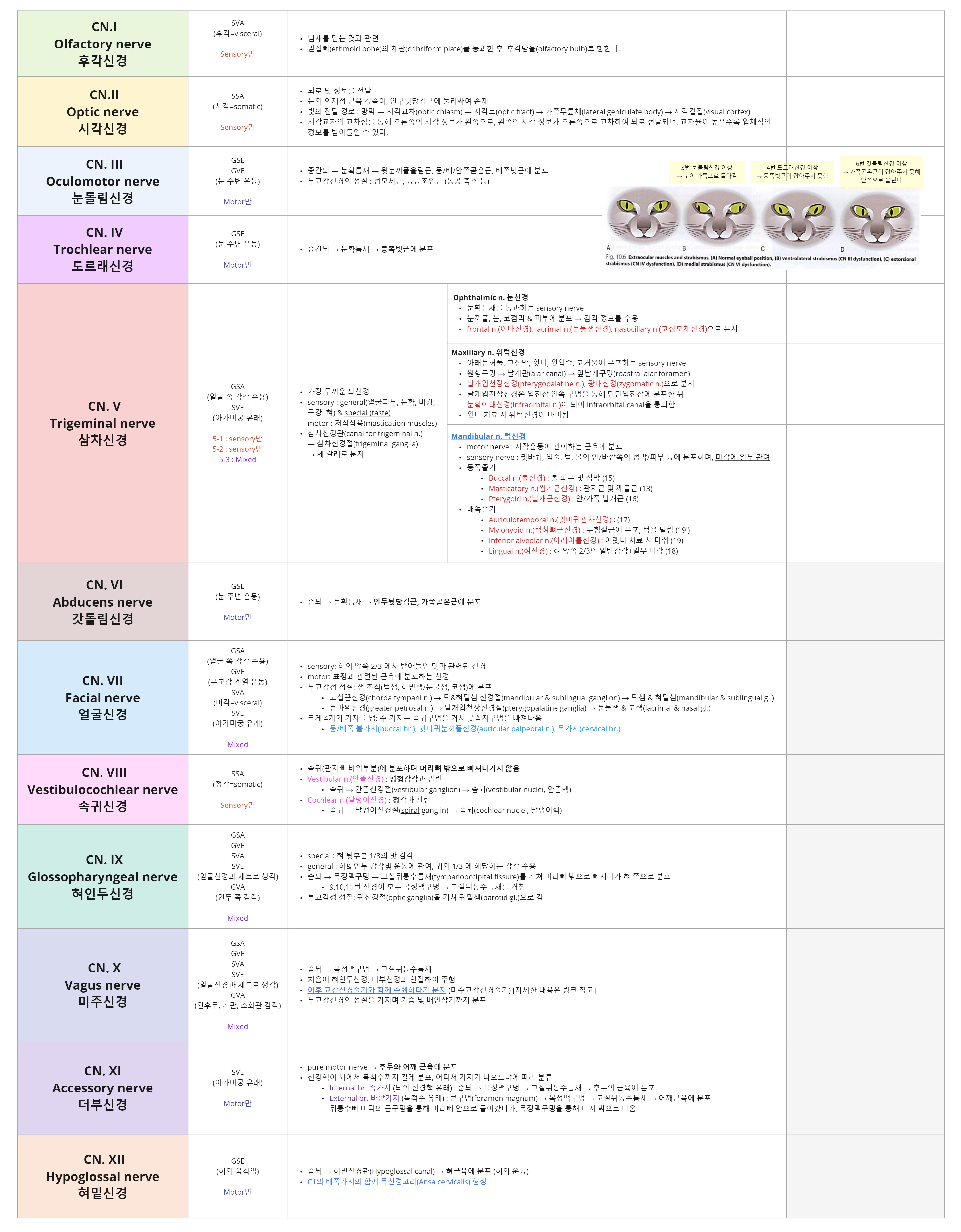 Miro_뇌신경 표.jpg