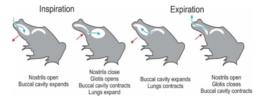 Pasted image 20231017122141.png