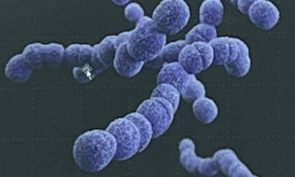 Pasted image 20231017230748.png