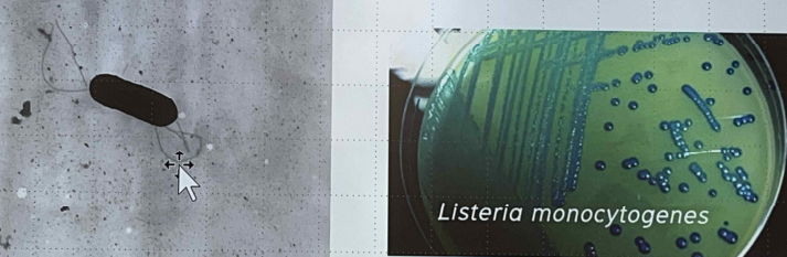 Pasted image 20231018150149.png