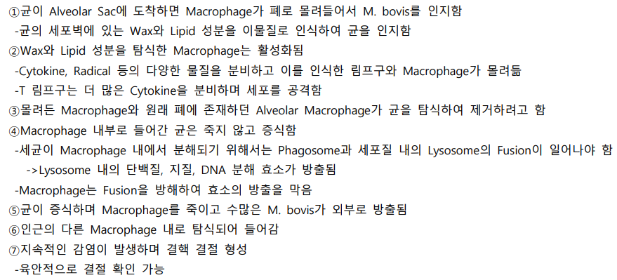 Pasted image 20231101150519.png