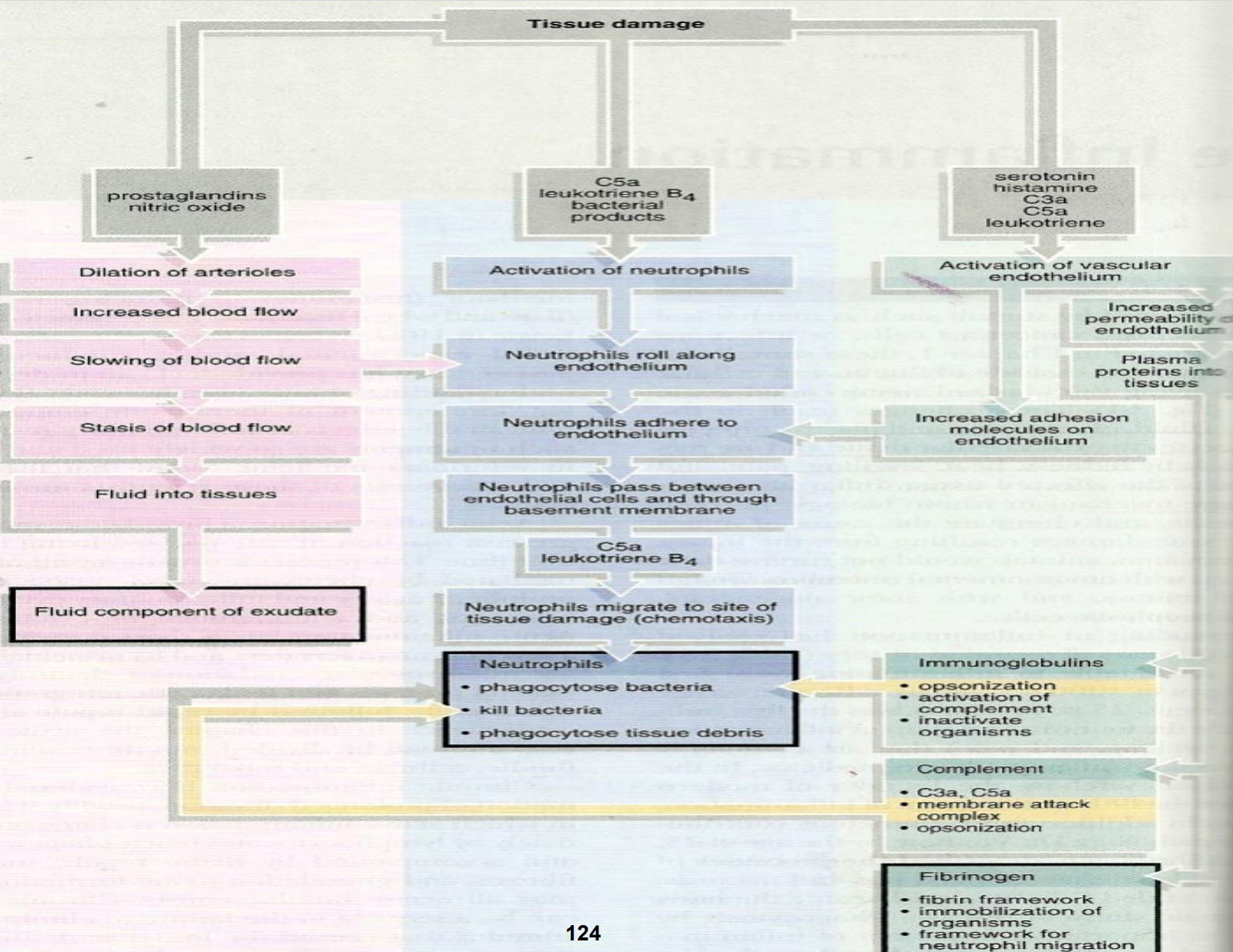 Pasted image 20231115094921.png