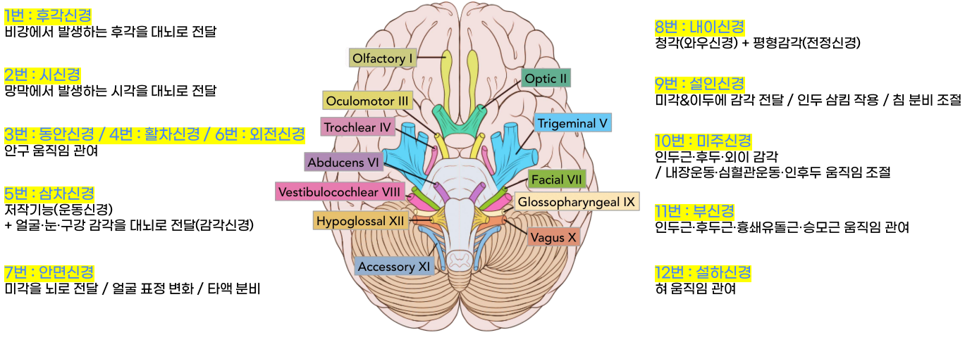 Pasted image 20240920133830.png