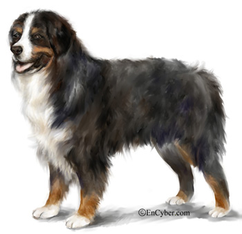 Pasted image 20241008214739.png