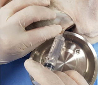 lateral로 눕힌 모습