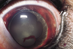 Pasted image 20241119143017.png