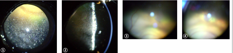 Pasted image 20241119151954.png