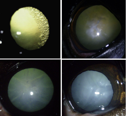 Pasted image 20241119152631.png